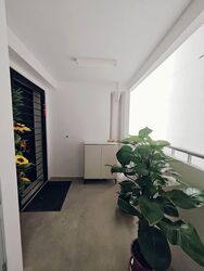 Blk 365B Sun Breeze (Sembawang), HDB 4 Rooms #574235911